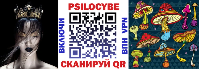 купить наркотики сайты  Чистополь  Псилоцибиновые грибы Cubensis 
