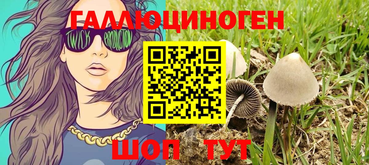 Галлюциногенные грибы GOLDEN TEACHER  как найти наркотики  Чистополь  Вход с VPN 