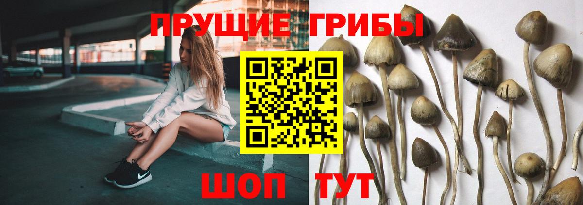 Псилоцибиновые грибы Magic Shrooms Чистополь
